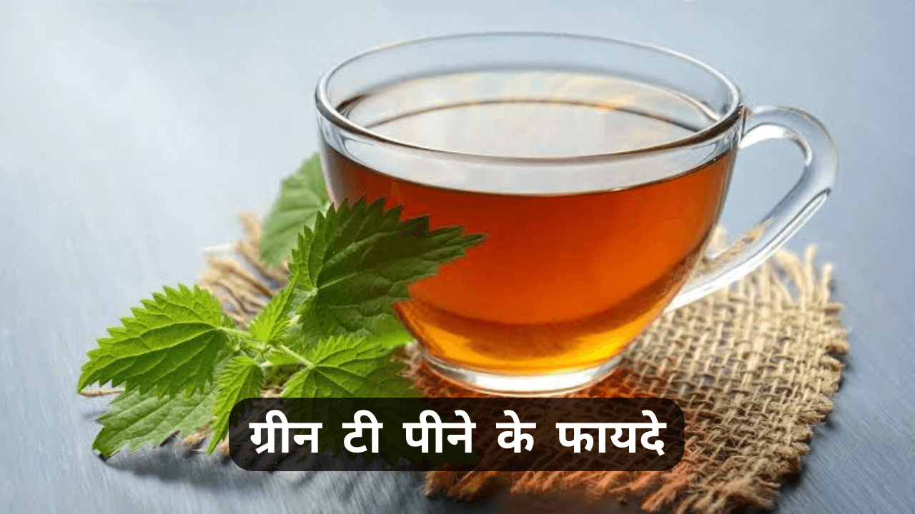green-tea-benefits-in-hindi-apurvashanker